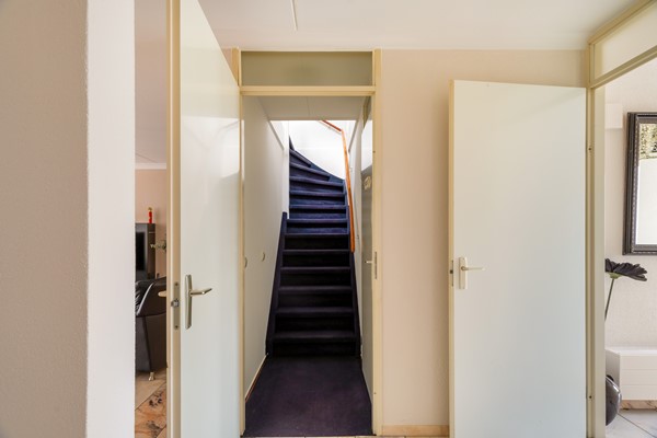 De wervel 38-2-36.jpg